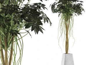 raccolta piante 66 Modello 3D