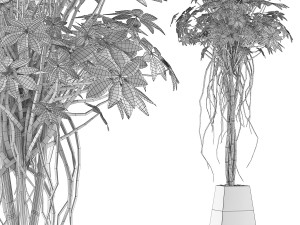 plants collection 66 Modelo 3D