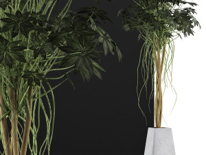 plants collection 66 Modelo 3D