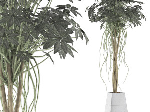 plants collection 66 Modelo 3D