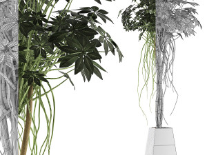 plants collection 66 Modelo 3D