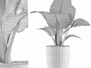 식물 수집 67 3D 모델