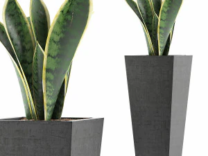 raccolta piante 68 Modello 3D