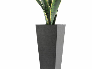 plants collection 68 Modèle 3D