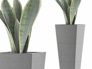 plants collection 68 Modèle 3D