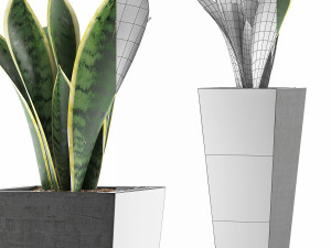 plants collection 68 Modèle 3D