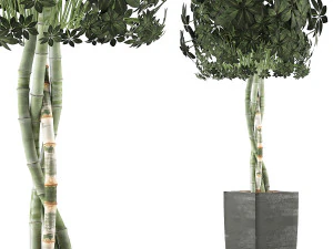 raccolta piante 69 Modello 3D