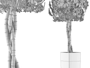 plants collection 69 3D Model