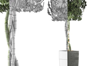 plants collection 69 3D Model