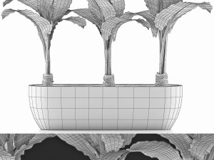 plants collection 70 3D 模型