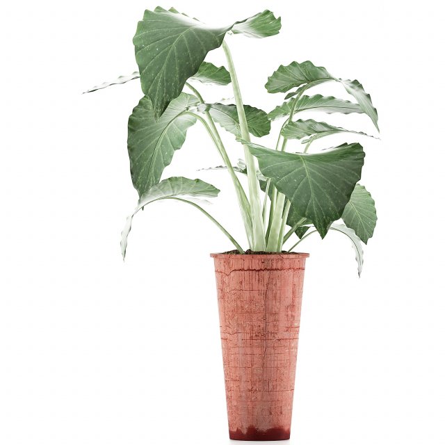 plants collection 71 3D 모델 .c4d .max .obj .3ds .fbx .stl .blend 