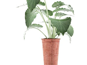 raccolta piante 71 Modello 3D