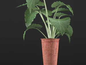 plants collection 71 3D Model