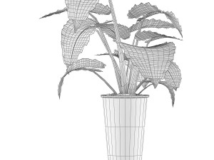 plants collection 71 3D 모델
