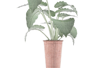 plants collection 71 3D 모델