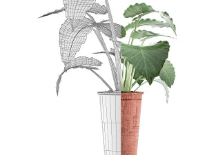 plants collection 71 3D Model