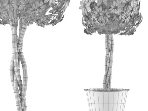 plants collection 72 Modelo 3D