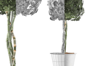 plants collection 72 Modelo 3D