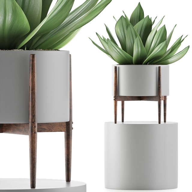 plants collection 73 Modello 3D .c4d .max .obj .3ds .fbx .stl .blend 