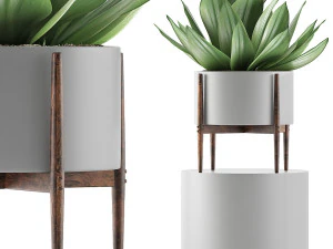 raccolta piante 73 Modello 3D