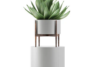 kolekcja roślin 73 Model 3D