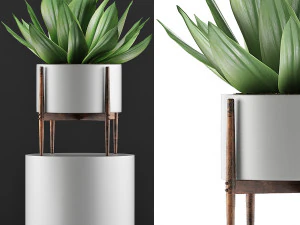 kolekcja roślin 73 Model 3D