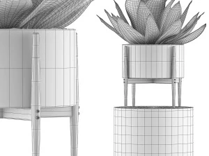 kolekcja roślin 73 Model 3D