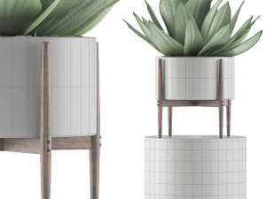 kolekcja roślin 73 Model 3D