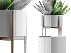 kolekcja roślin 73 Model 3D