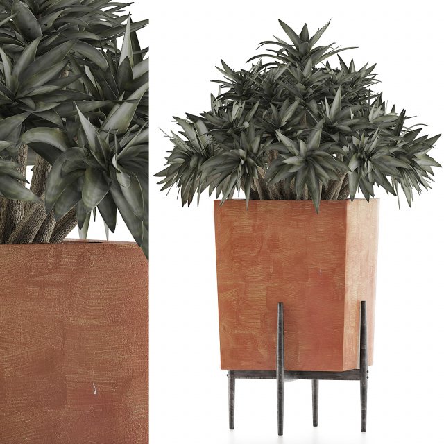 plants collection 74 3D Модель .c4d .max .obj .3ds .fbx .stl .blend 