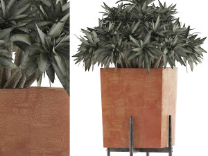 plants collection 74 3D Model