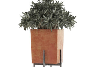 plants collection 74 3D Модель