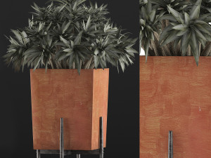 plants collection 74 3D Модель