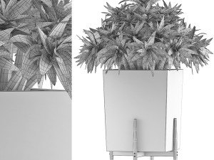 plants collection 74 3D Модель