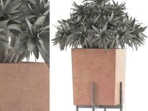 plants collection 74 3D Модель
