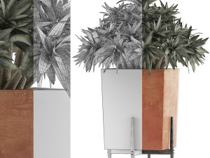 plants collection 74 3D Модель