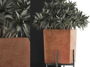 plants collection 74 3D Модель