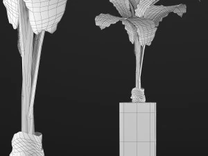 plants collection 75 3D Model
