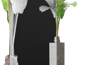 plants collection 75 3D Model