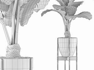 plants collection 77 Model 3D