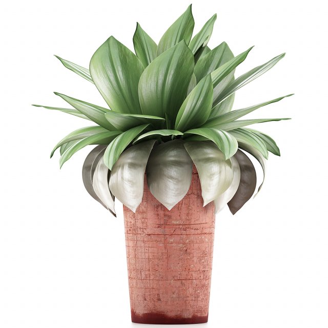 plants collection 78 Model 3D .c4d .max .obj .3ds .fbx .stl .blend 