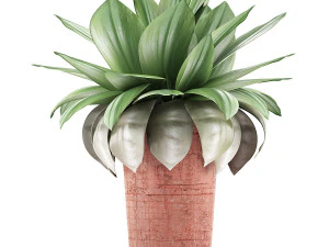 kolekcja roślin 78 Model 3D