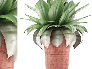 plants collection 78 Model 3D