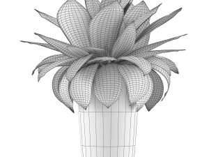 plants collection 78 Model 3D