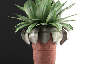 plants collection 78 Model 3D