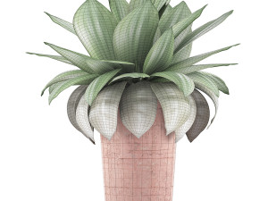 plants collection 78 Model 3D