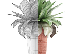 plants collection 78 Model 3D