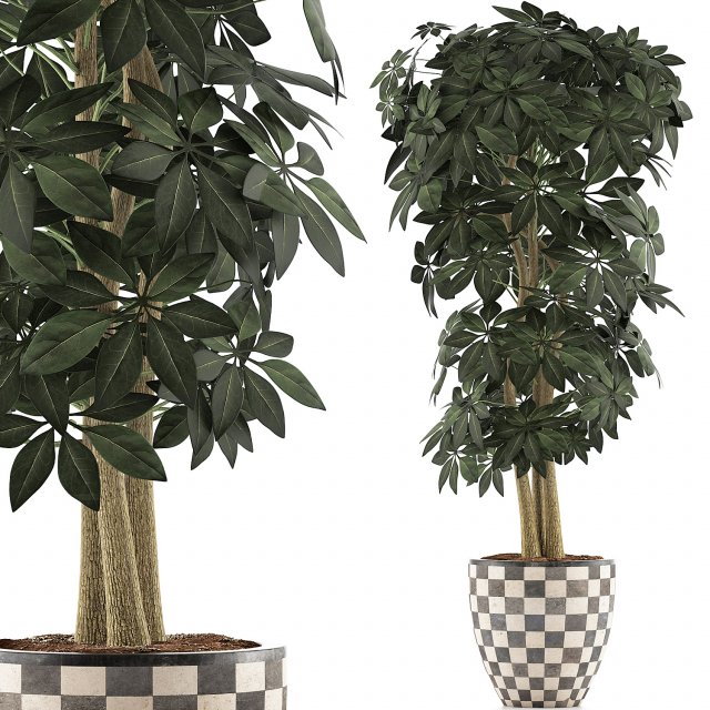 plants collection 79 Modèle 3D .c4d .max .obj .3ds .fbx .stl .blend 