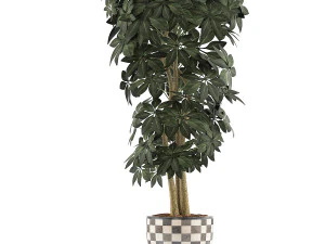 plants collection 79 3D Model