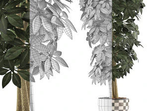 plants collection 79 3D Model